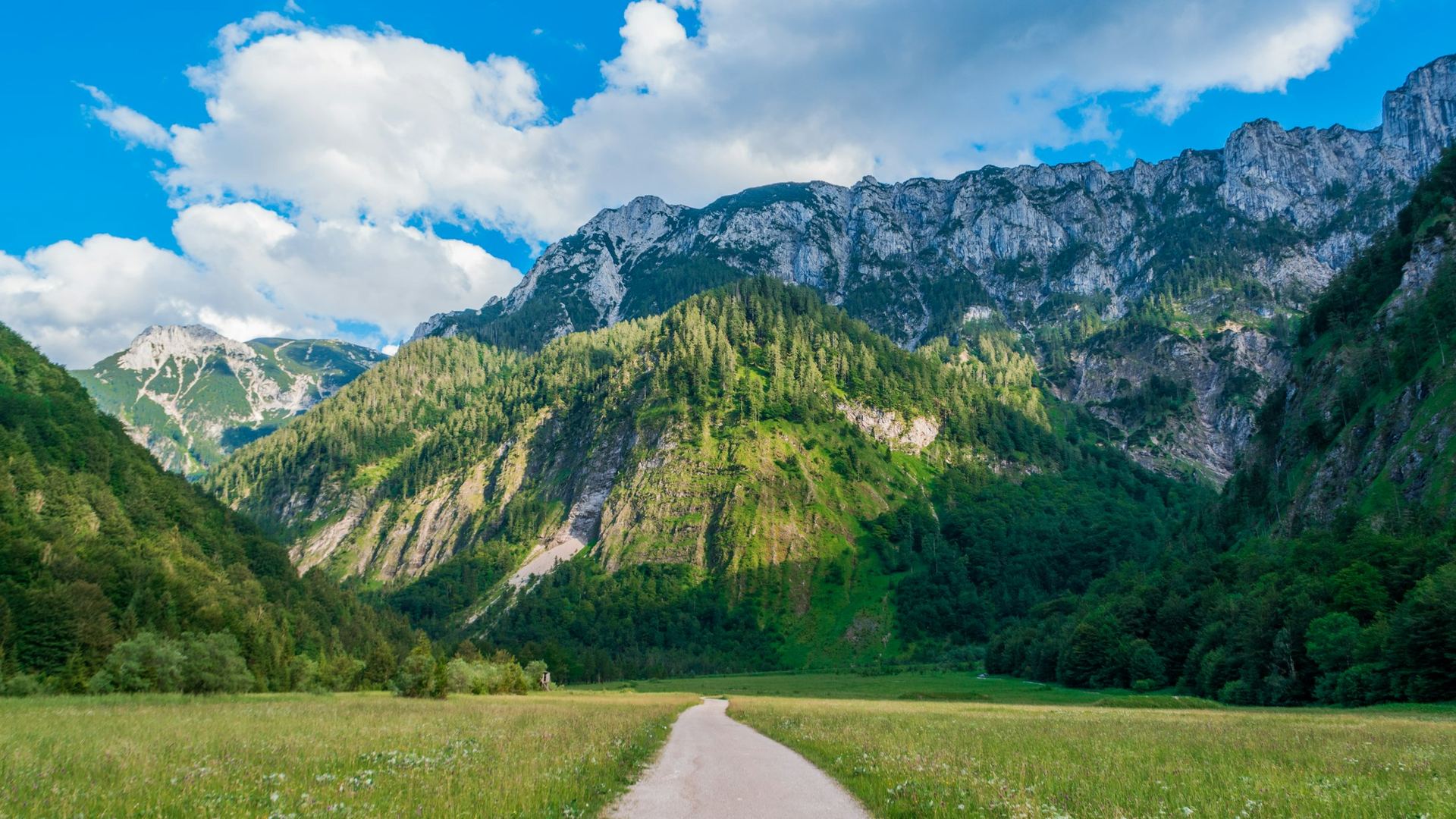 Tal im Voralpenland mit Straße und Wiesen