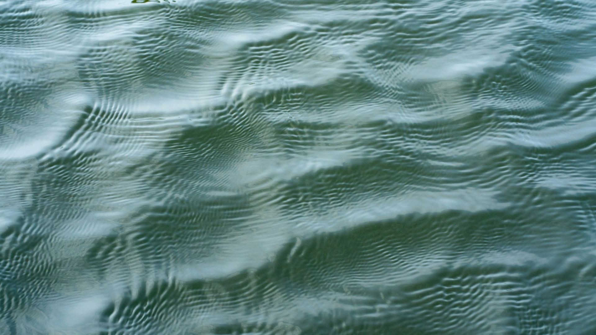 Wellen auf grünem Wasser